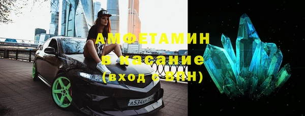 молекула духа Ельня