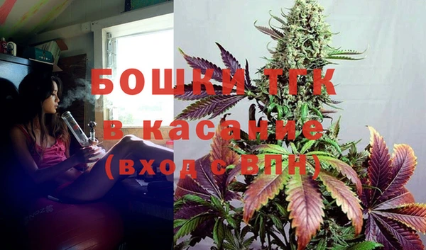 молекула духа Ельня