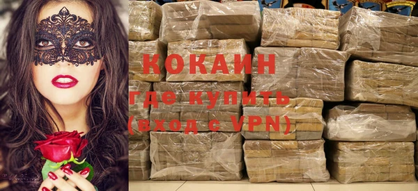 молекула духа Ельня