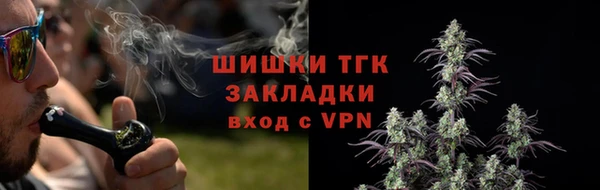 молекула духа Ельня