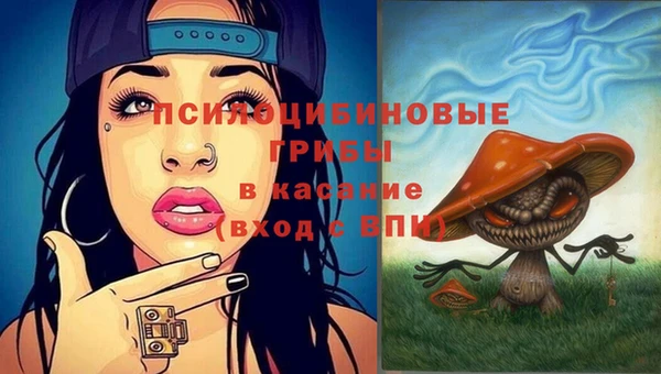 молекула духа Ельня