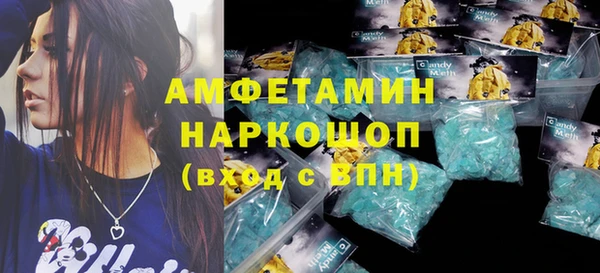 молекула духа Ельня