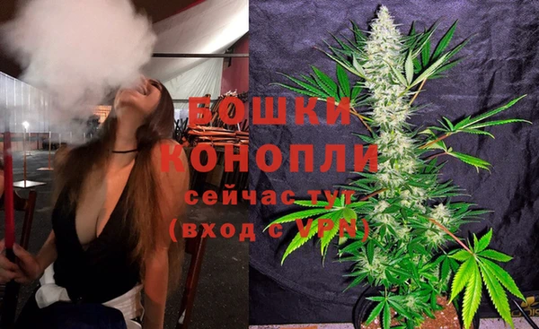 дживик Елабуга