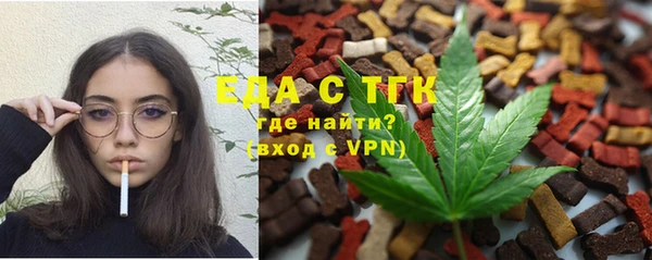 молекула духа Ельня