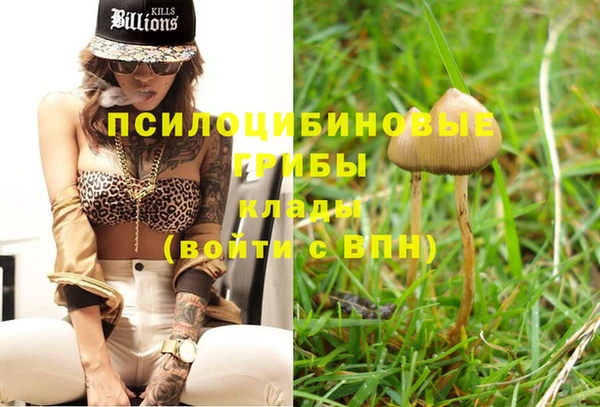 spice Елизово